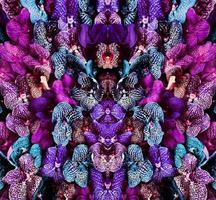 pattern of colorful orchids. Floral, fashion, style concept photo