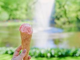 orange ice cream on spring or summer flowers landscape background. Food, travel, lifestyle concept