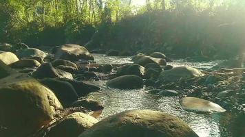 magnifiques rapides d'eau douce cascades rivière qui coule video