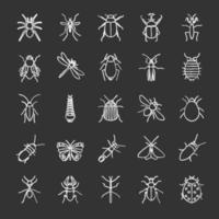 conjunto de iconos de tiza de insectos. insectos. colección de entomólogos. mariposa, tijereta, chinche ciervo, fásmido, polilla, hormiga, mantis, araña. Ilustraciones de vector pizarra
