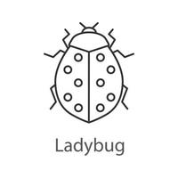 Ladybug linear icon. Ladybird. Insect. Thin line illustration. Contour symbol. Vector isolated outline drawing