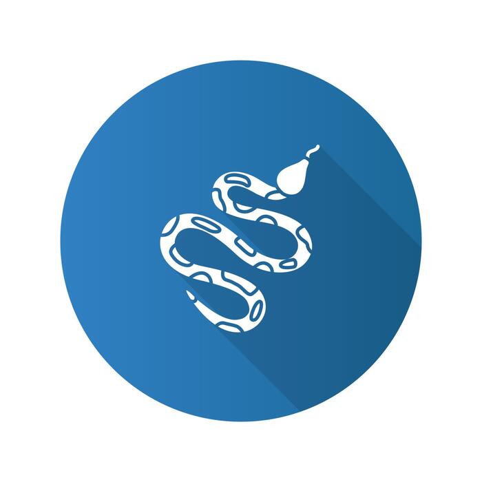 Python Icon Vector Art, Icons, and Graphics for Free Download