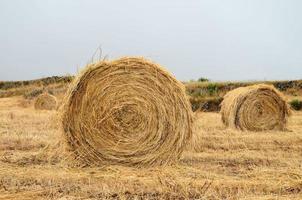 Hay bales in field photo