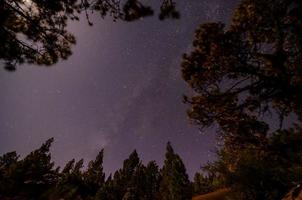 estrellas en el cielo por la noche foto