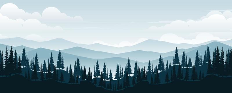 Landscape of mountains with pines and forests.
