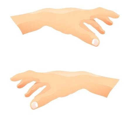 right and left hands of a fair skinned person in realistic style, gesture to take or points something