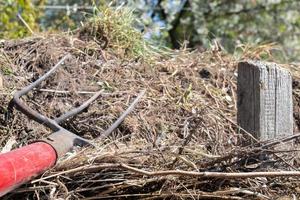 Fork with red handle for composting, recycling lawn and garden waste. Forks stuck in compost. Making and mixing compost in the backyard. Organic fertilizer for garden plants. photo