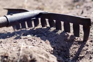 Photo of a garden rake on a bed. Old metal rake in the garden. Spring cleaning. Formation of the soil for planting with a rake in the spring, work with a garden tool. Soil preparation for sowing.