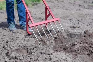 A farmer in jeans digs the ground with a red fork-shaped shovel. A miracle shovel, a handy tool. Manual cultivator. The cultivator is an efficient hand tool for tillage. Loosening the bed. photo