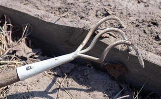 Planting flowers in the garden. A metal small rake with a wooden handle for gardening lies on the ground in a vegetable garden or orchard with stuck clods of soil. photo