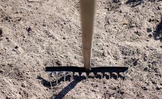 Photo of a garden rake on a bed. Old metal rake in the garden. Spring cleaning. Formation of the soil for planting with a rake in the spring, work with a garden tool. Soil preparation for sowing.