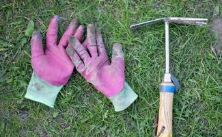 Garden tools, small rakes and pink gloves on the ground and green grass. flatlay and copy space. Farmer's or gardener's work gloves, small garden rake outdoors while gardening. photo