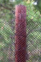 Mesh old ragged cage in the garden and a rusty pole with green grass as a background. Metal fence with wire mesh. Metal fence made of steel iron mesh. Abstract background. copy space. photo