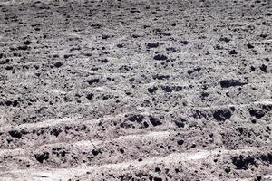 Long flat top rows, furrows, mounds for newly planted potatoes in a rural vegetable garden. A field with several rows of planted potatoes in early spring after sowing. Freshly plowed field. photo