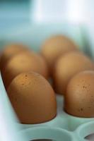 Raw chicken eggs in the refrigerator, close-up. Brown eggs in an egg rag on a shelf on the refrigerator door. selected focus. photo