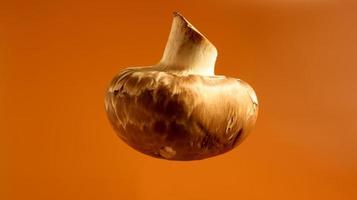 One fresh mushroom on a brown background. Champignon royal large brown unpeeled. Juicy mushroom, copy space. Raw material for cooking vegan food. photo