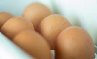 Raw chicken eggs in the refrigerator, close-up. Brown eggs in an egg rag on a shelf on the refrigerator door. selected focus. photo
