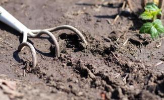 A small dusty rake used in home gardens. Garden tools for gardening and care of plants at home and in the garden. Spring or summer garden work. Dig up a piece of land among the weeds. photo