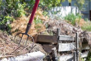 Fork with red handle for composting, recycling lawn and garden waste. Forks stuck in compost. Making and mixing compost in the backyard. Organic fertilizer for garden plants. photo