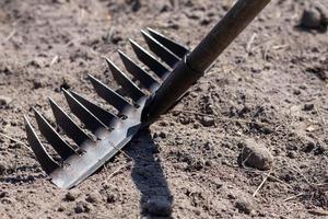 Photo of a garden rake on a bed. Old metal rake in the garden. Spring cleaning. Formation of the soil for planting with a rake in the spring, work with a garden tool. Soil preparation for sowing.