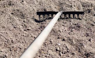 Close up photo of a garden rake on a bed. Old black metal rake on dry soil, in the garden. Spring cleaning. Selective focus. Yard area cleaning.