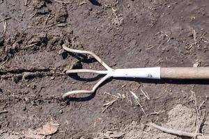 A small dusty rake used in home gardens. Garden tools for gardening and care of plants at home and in the garden. Spring or summer garden work. Dig up a piece of land among the weeds. photo