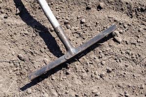 Photo of a garden rake on a bed. Old metal rake in the garden. Spring cleaning. Formation of the soil for planting with a rake in the spring, work with a garden tool. Soil preparation for sowing.