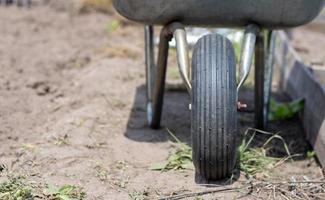 Gray metal garden wheelbarrow with two handles and one wheel. The wheelbarrow is in the garden or garden. Gardener's wheelbarrow in the backyard. Garden cleaning. photo