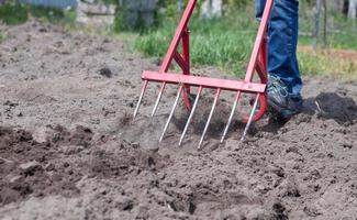 un granjero en jeans cava el suelo con una pala roja en forma de tenedor. una pala milagrosa, una herramienta útil. cultivador manual. el cultivador es una herramienta manual eficiente para la labranza. aflojando la cama. foto