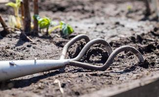 Planting flowers in the garden. A metal small rake with a wooden handle for gardening lies on the ground in a vegetable garden or orchard with stuck clods of soil. photo