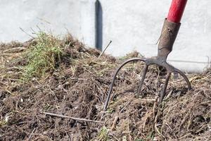 Fork with red handle for composting, recycling lawn and garden waste. Forks stuck in compost. Making and mixing compost in the backyard. Organic fertilizer for garden plants. photo