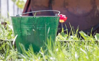 Metal dirty garden bucket, container with a handle in the garden in green grass. Garden equipment. Bright sunny day in the garden. photo