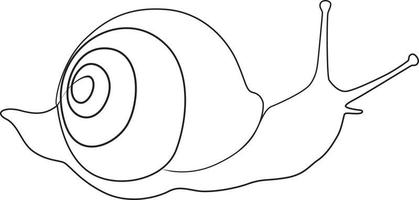 single line exotic pet snail vector
