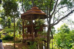 selective focus of garden view with a nice gazebo. beautiful garden view. photo