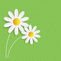 Flora Daisyl Design Vector Illustartion