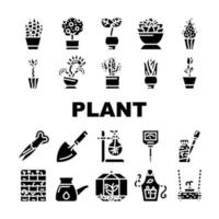 Potted Plant And Care Accessories Icons Set Vector