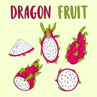 Whole and sliced Dragon Fruit isolated on light background. vector