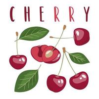 Set of vector cherries illustrations with lettering , isolated on white background. Template for your design.