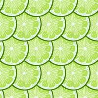 Lime seamless pattern. vector