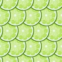 Lime seamless pattern. vector