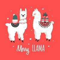 tarjeta de felicitación de feliz navidad con lindos lamas. vector