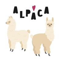 dos lindas ilustraciones de alpacas con letras, aisladas en fondo blanco. vector