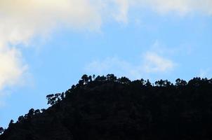 Trees silhouette and sky photo