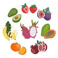 lindo conjunto de ilustraciones planas de frutas frescas enteras y en rodajas. vector
