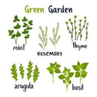 Set of vector illustration herbs with lettering. Green growing basil, rosemary, thyme, mint, arugula. Gardening. For your design.