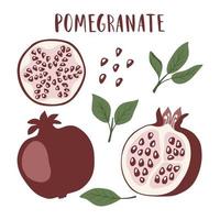 Set of whole pomegranate fruit, segment, pomegranate seeds and leaves, isolated on white background. vector