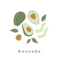 elegante diseño vectorial de aguacate. impresión de arte contemporáneo. vector