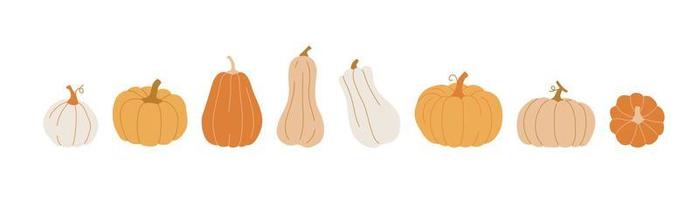 conjunto de calabaza. lindas calabazas dibujadas a mano en varios tamaños y colores. vector