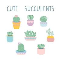 suculentas vectoriales y conjunto de ilustraciones de cactus. linda suculenta en maceta. imágenes prediseñadas de plantas caseras.