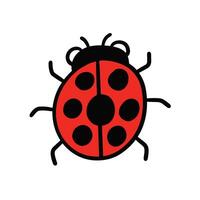 beetle hand drawn. simple and cute illustrations in vector design